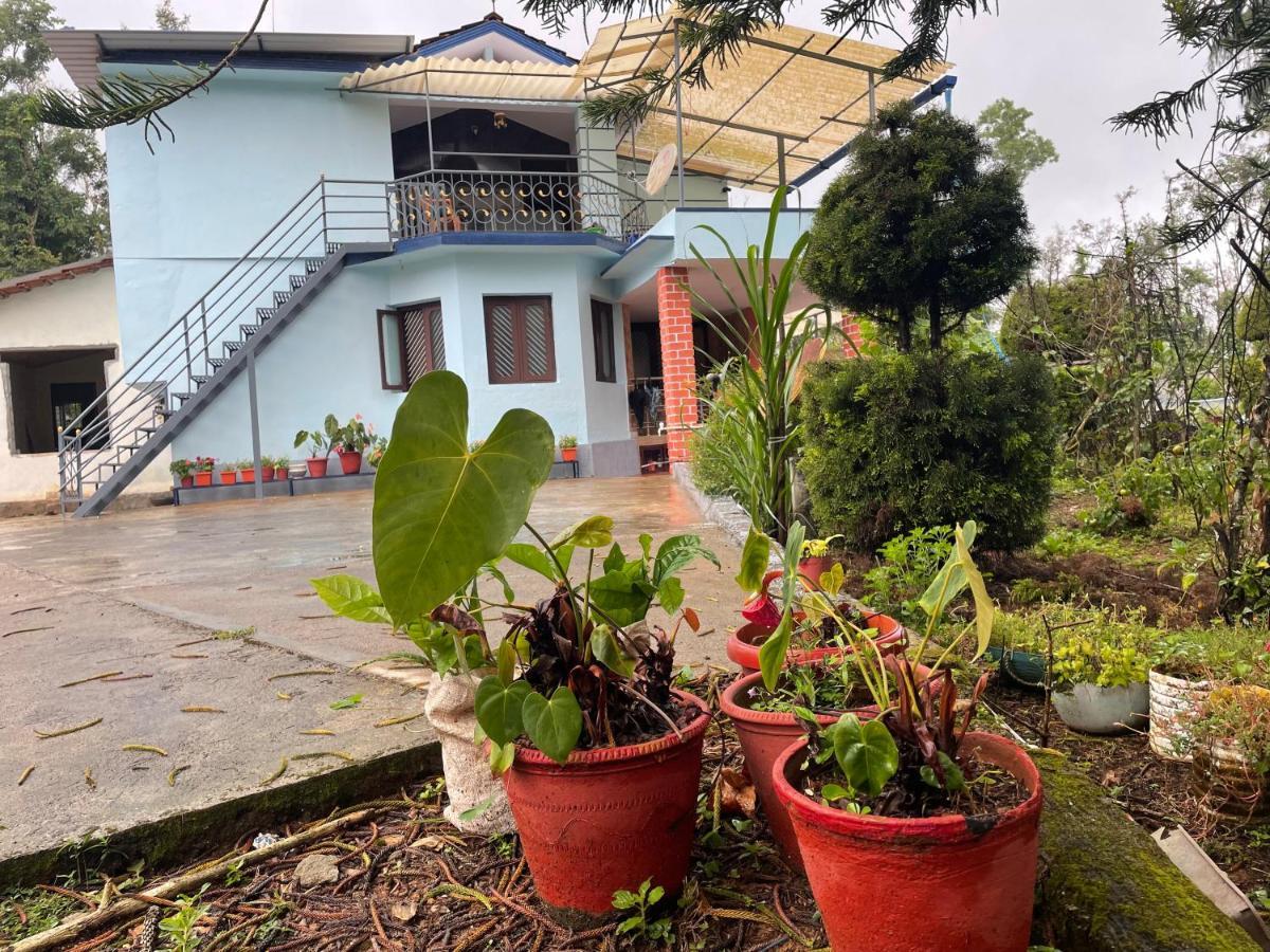 Homestay New Organic