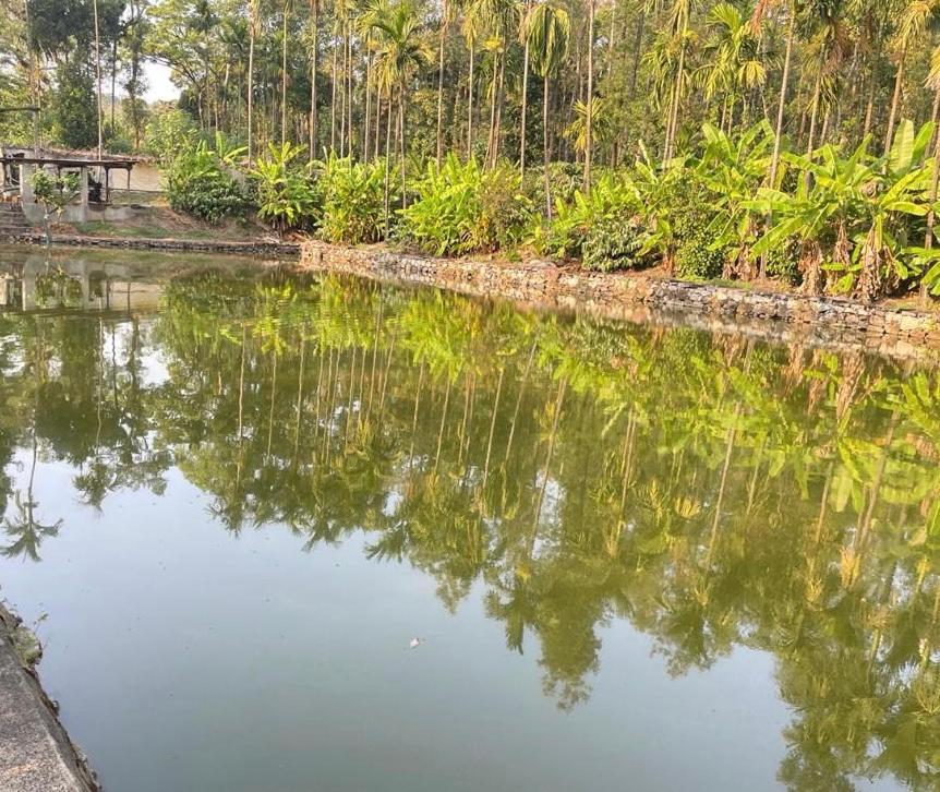 New Organic Homestay Mudigere