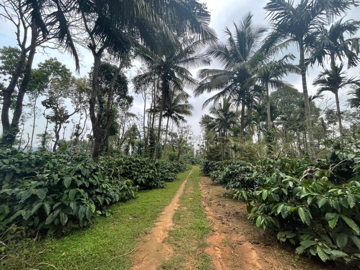 New Organic Homestay