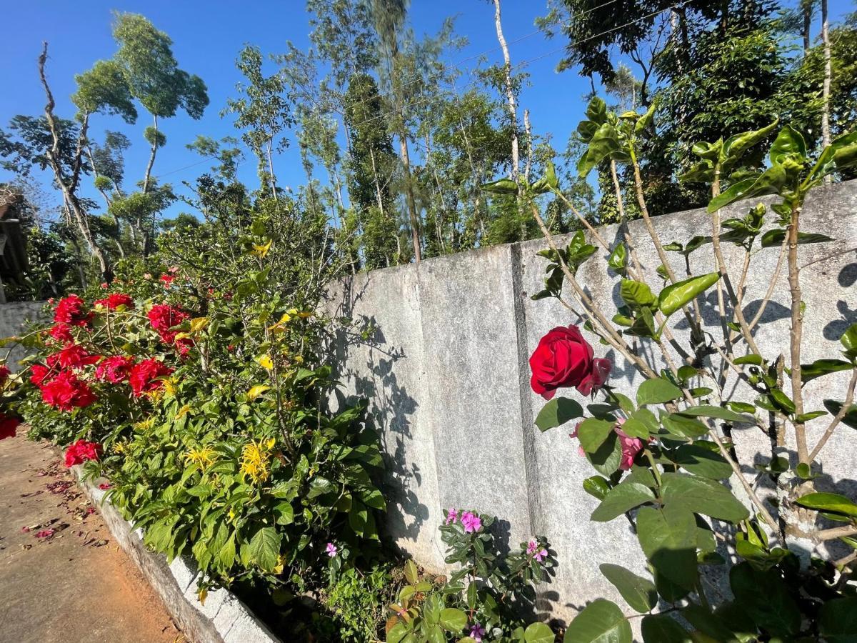 New Organic Homestay *