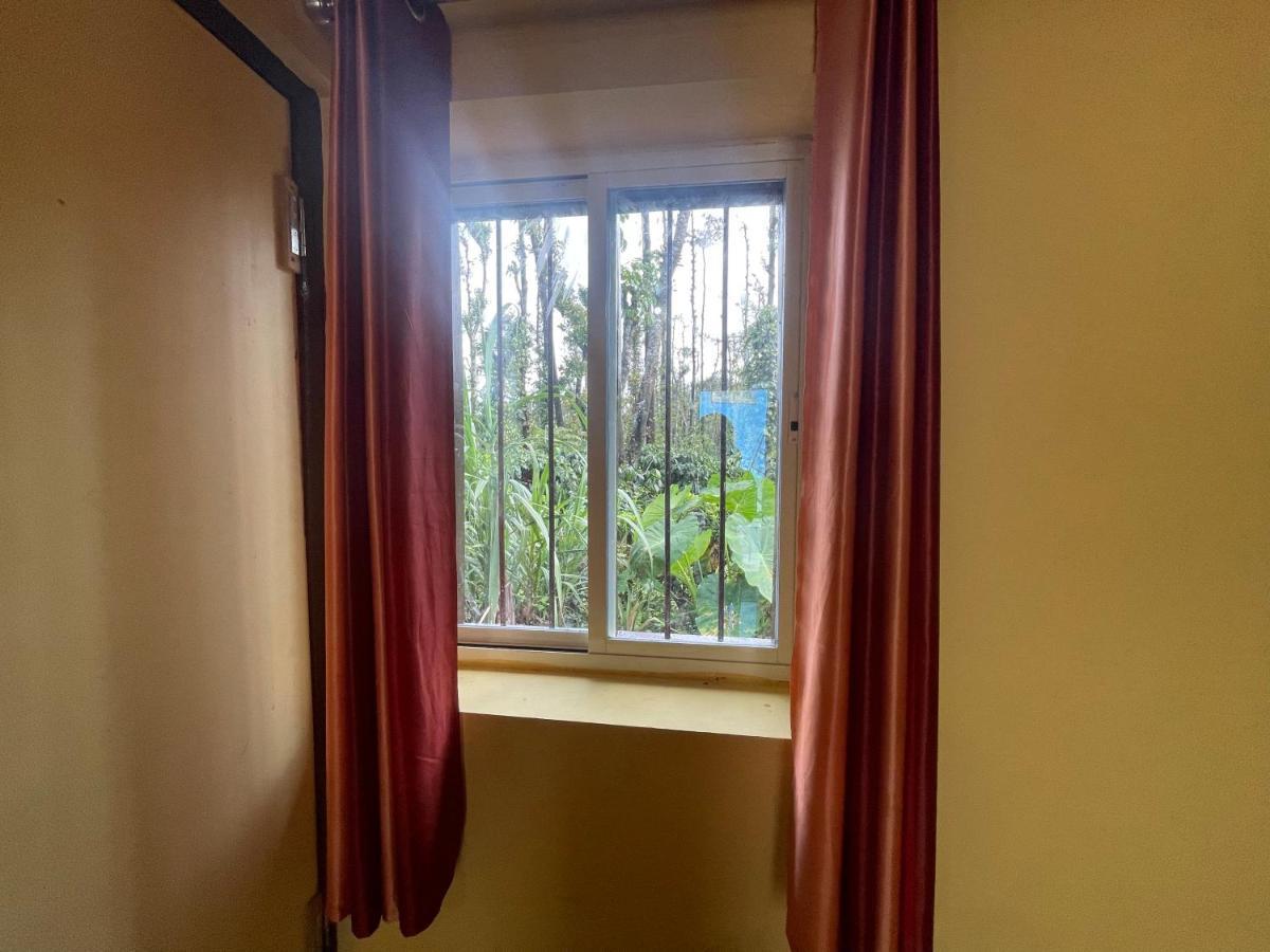 Homestay New Organic Mudigere