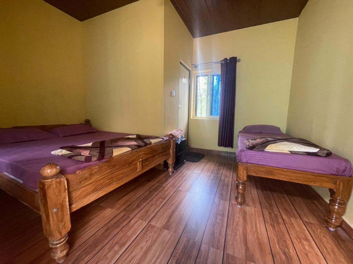 New Organic Homestay