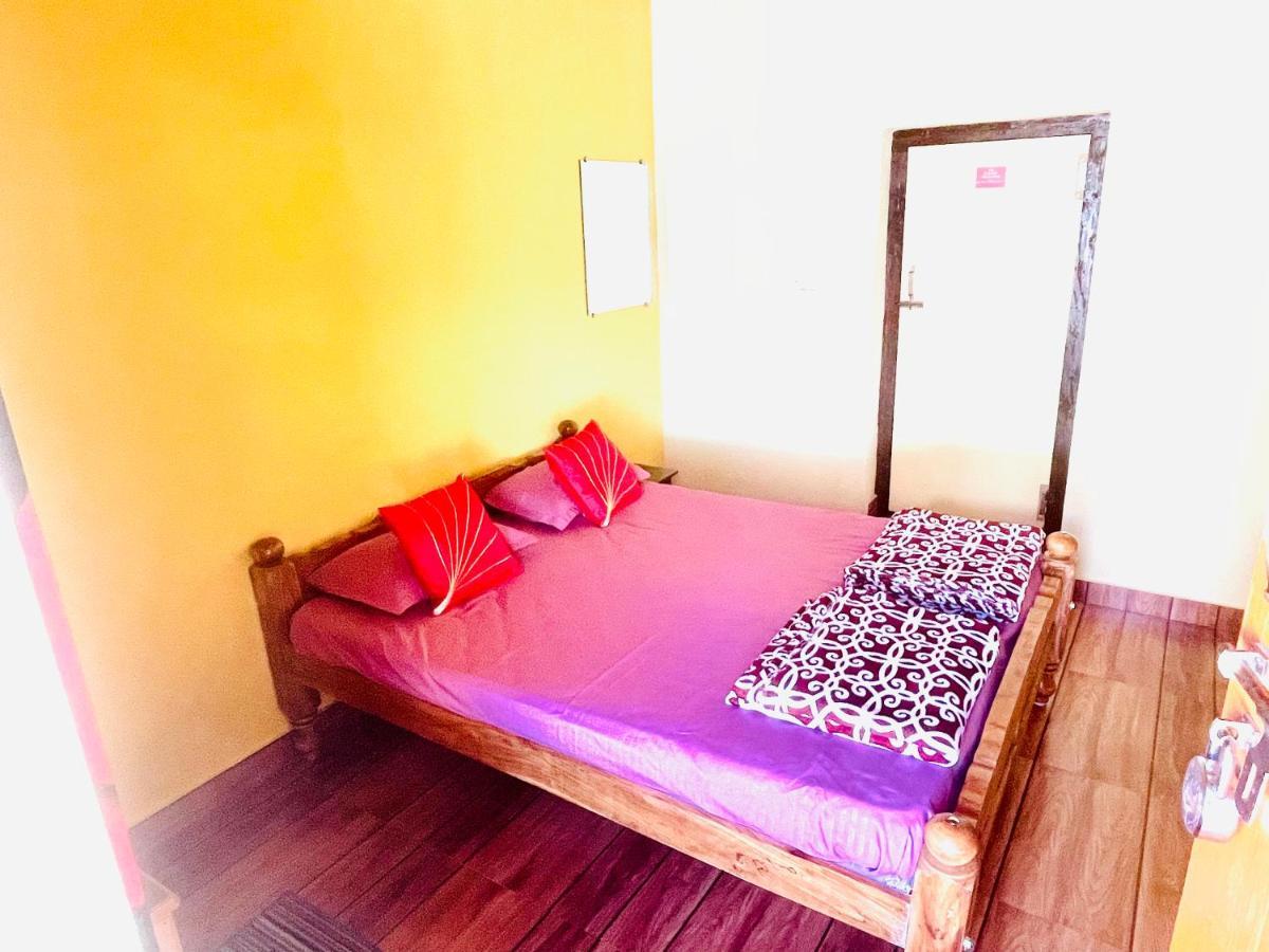 Homestay New Organic