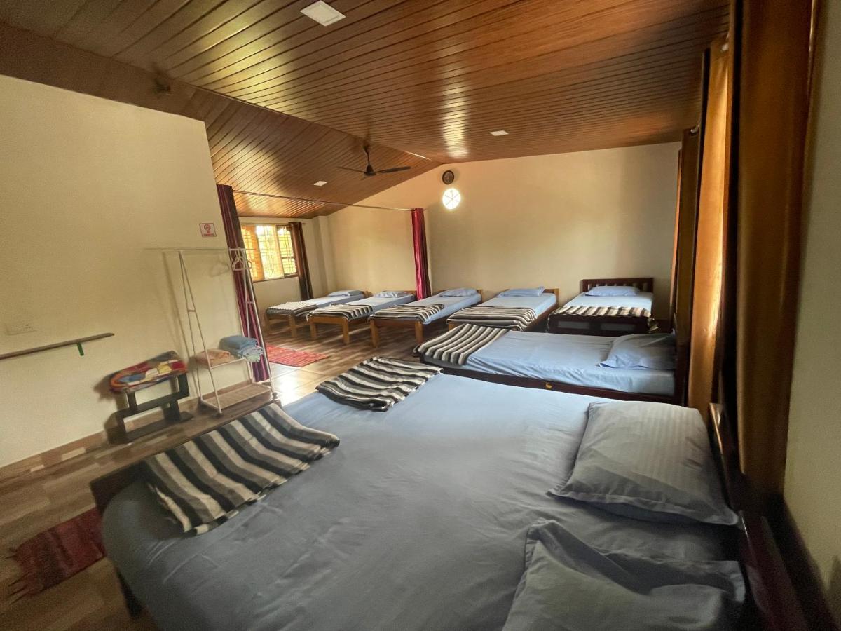 Homestay New Organic *