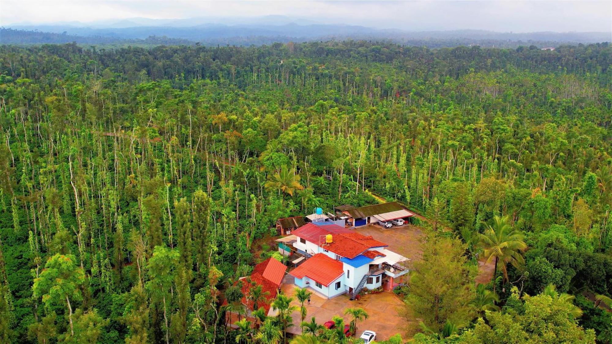 Homestay New Organic
